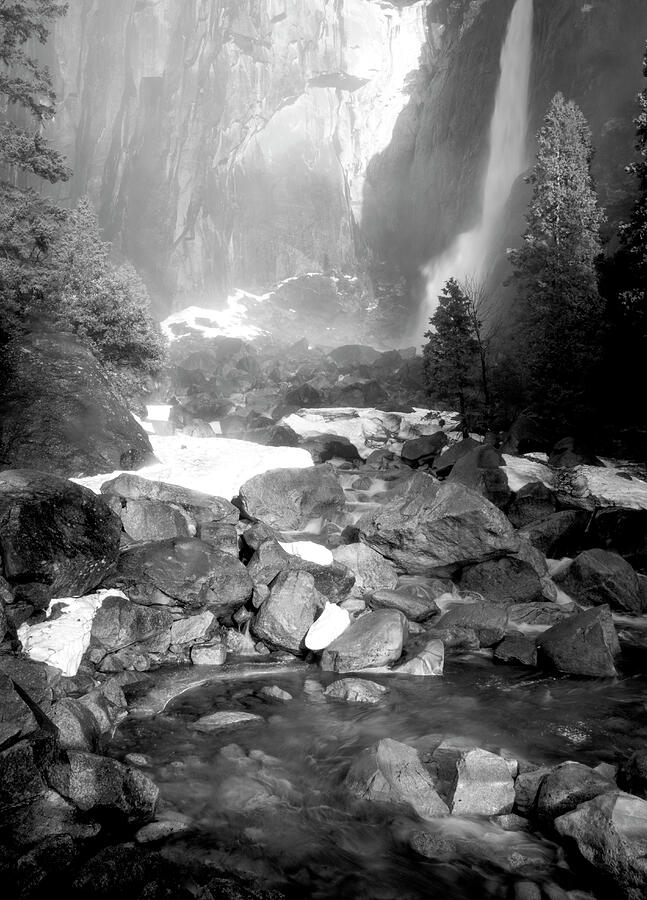 Yosemite Wonders of Winter Photograph by Norma Brandsberg