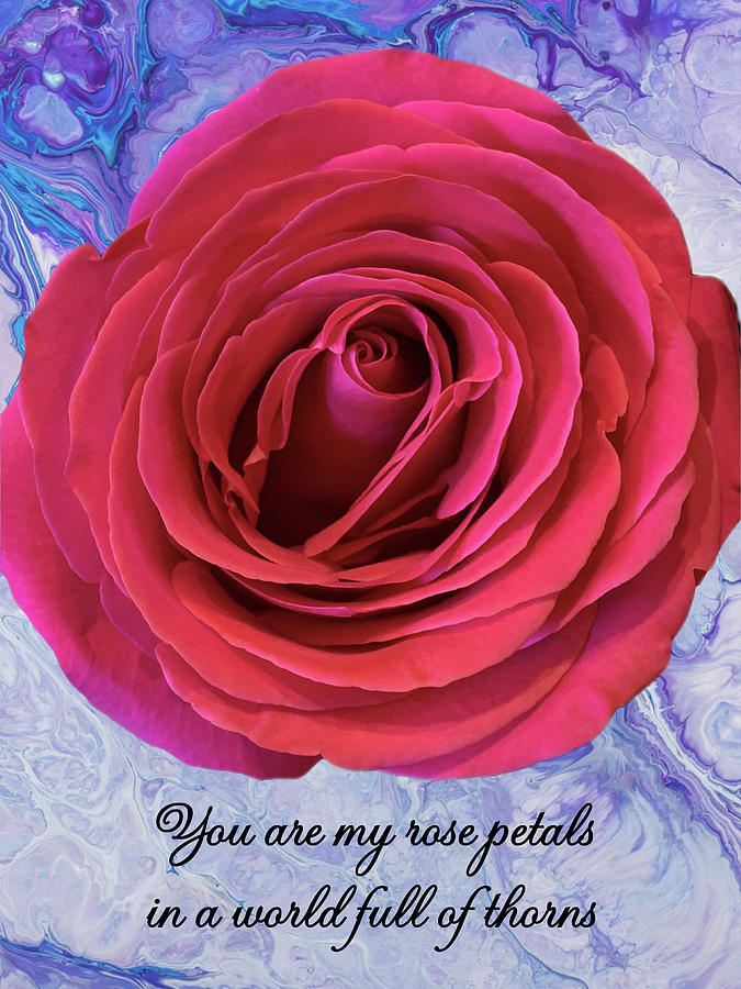 You Are My Rose Photograph by Diane Lindon Coy