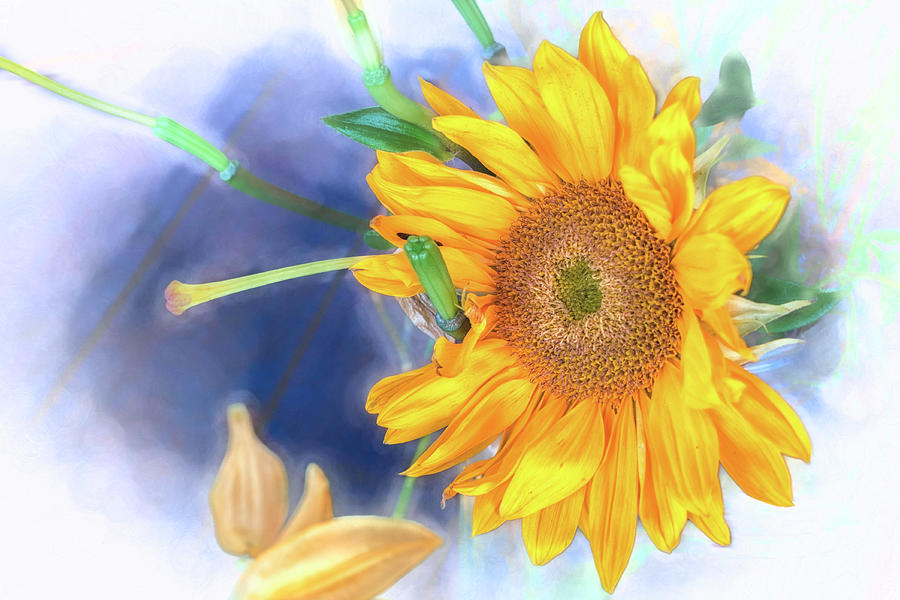 Sunflower Photograph - You Are My Sunshine by Jim Love