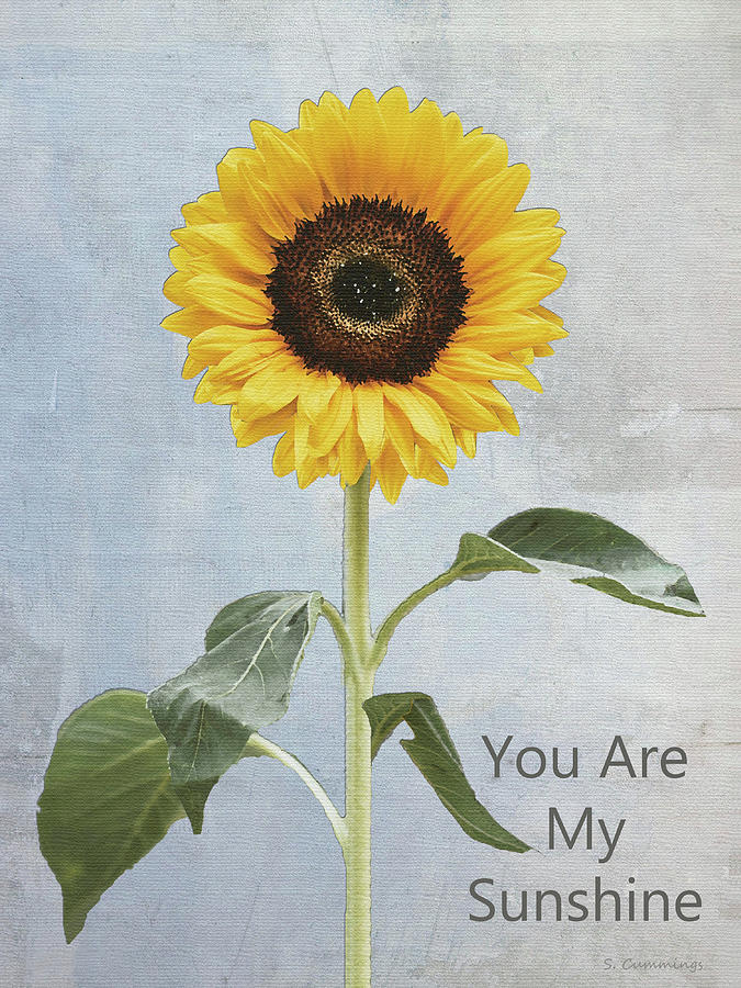 You Are My Sunshine Sunflower Art Painting by Sharon Cummings