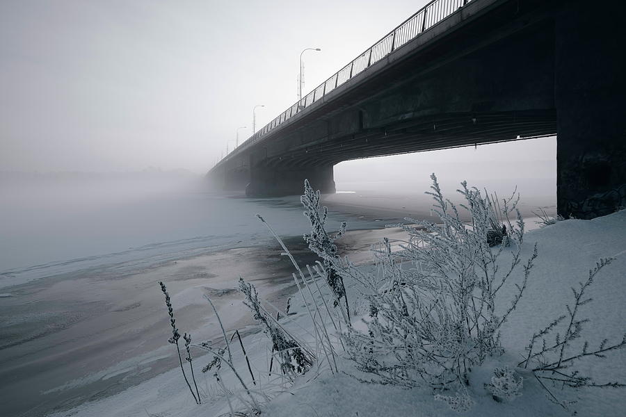 You Are  Welcome To Winter  Photograph by Aleksandrs Drozdovs