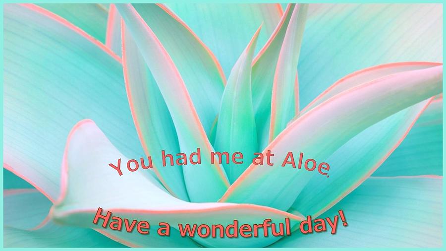 You Had Me At Aloe Mixed Media by Nancy Ayanna Wyatt