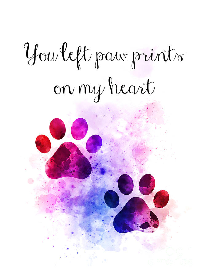 You left paw prints Mixed Media by My Inspiration