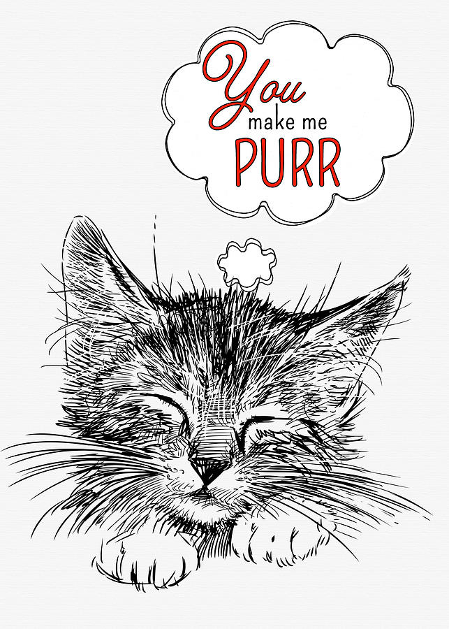 You Make Me Purr Valentines Cat Sketch with Red Digital Art by Doreen Erhardt
