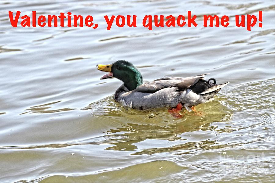 You Quack Me Up Photograph by Patricia Youngquist