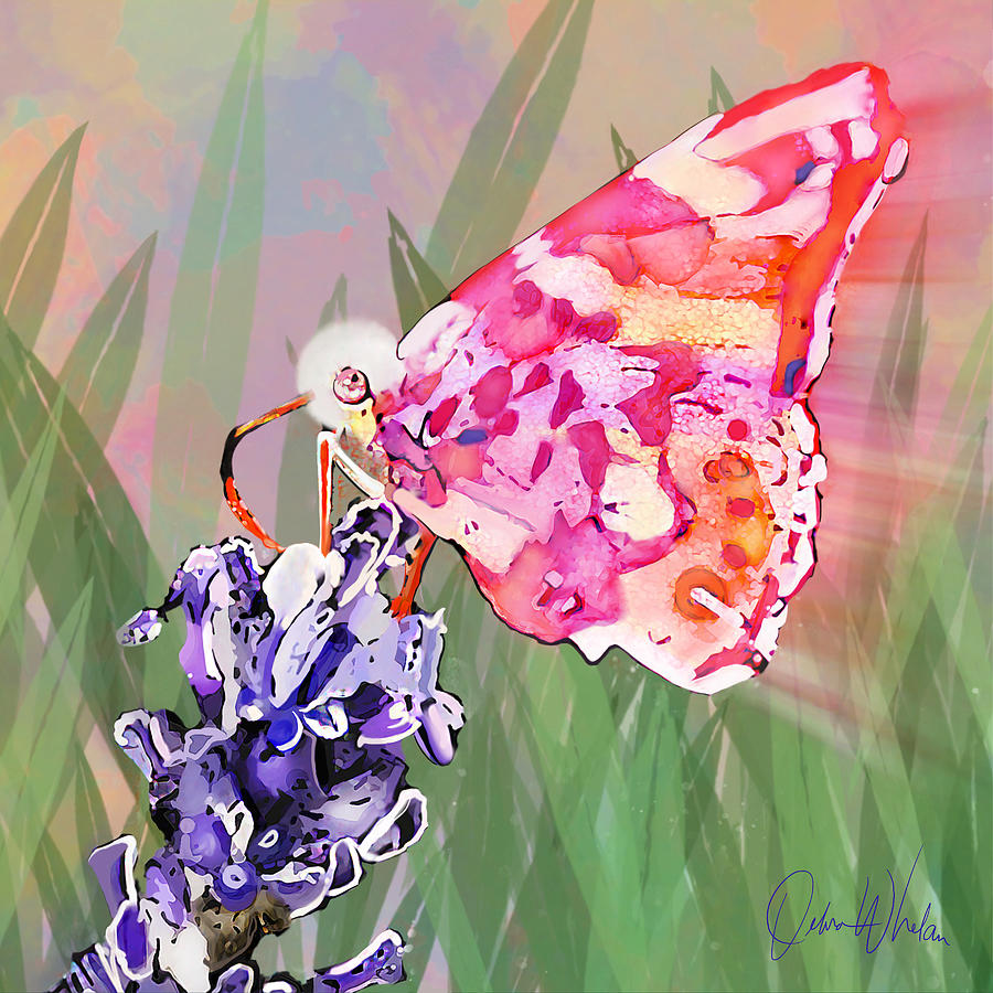 You Still Give Me Butterflies Digital Art by Debra Whelan - Fine Art ...