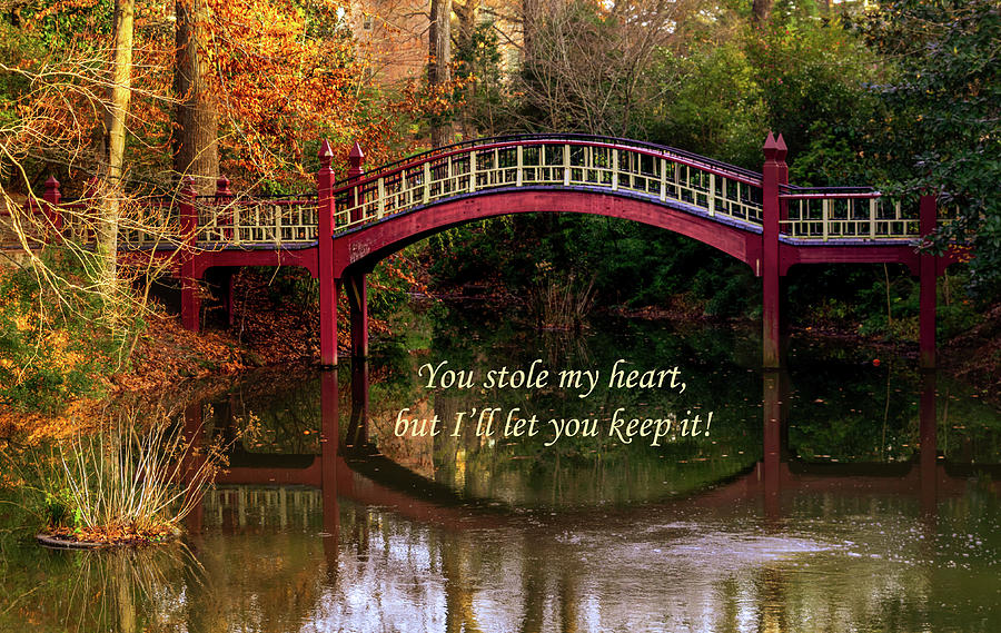 You Stole My Heart Photograph by Norma Brandsberg
