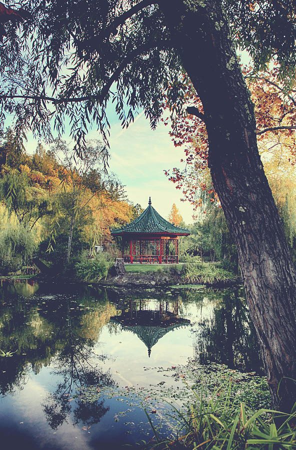 Youll Find Your Way Photograph by Laurie Search Youll Find Your Way Photograph by Laurie Search