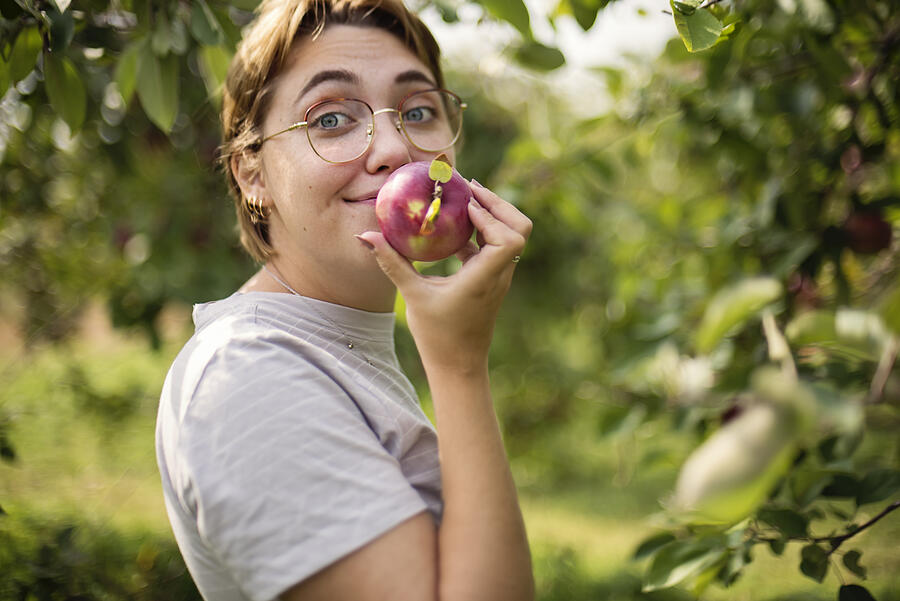 Young adult woman picking up apples in orchard. Photograph by Martinedoucet