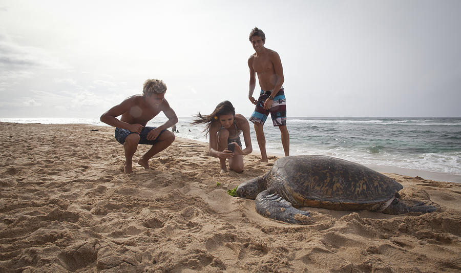 Young adults photograph a sea turtle Photograph by Noel Hendrickson