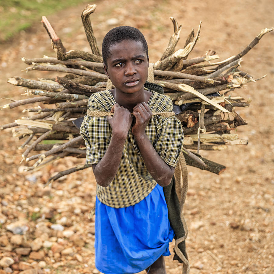 Young African girl carrying brushwood, southern Kenya, East Africa Photograph by Bartosz Hadyniak