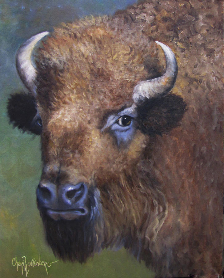 Young Bison From Stratford Oklahoma an Original Artwork by Cheri Wollenberg Painting by Cheri Wollenberg