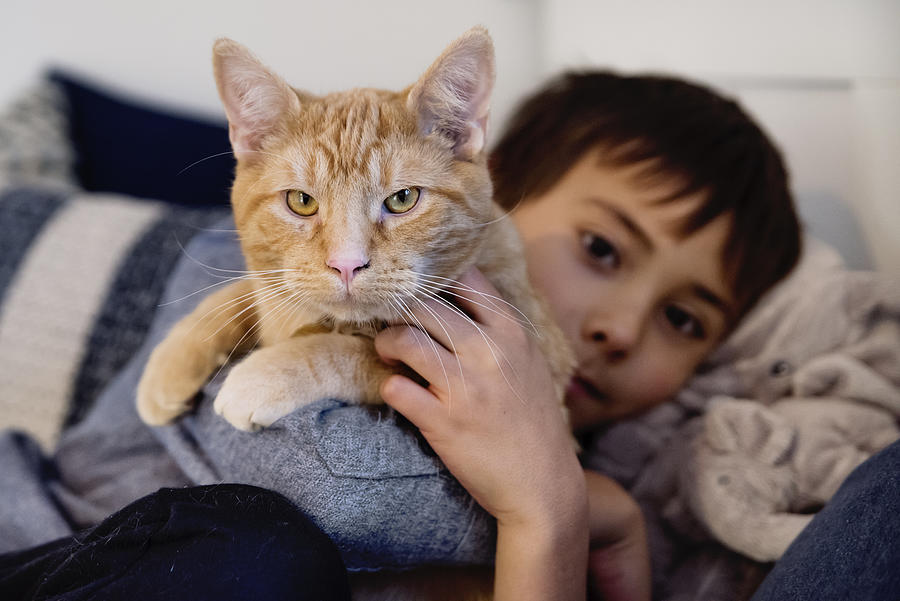Young boy being comforted by holding his cat in bedroom. Photograph by Martinedoucet