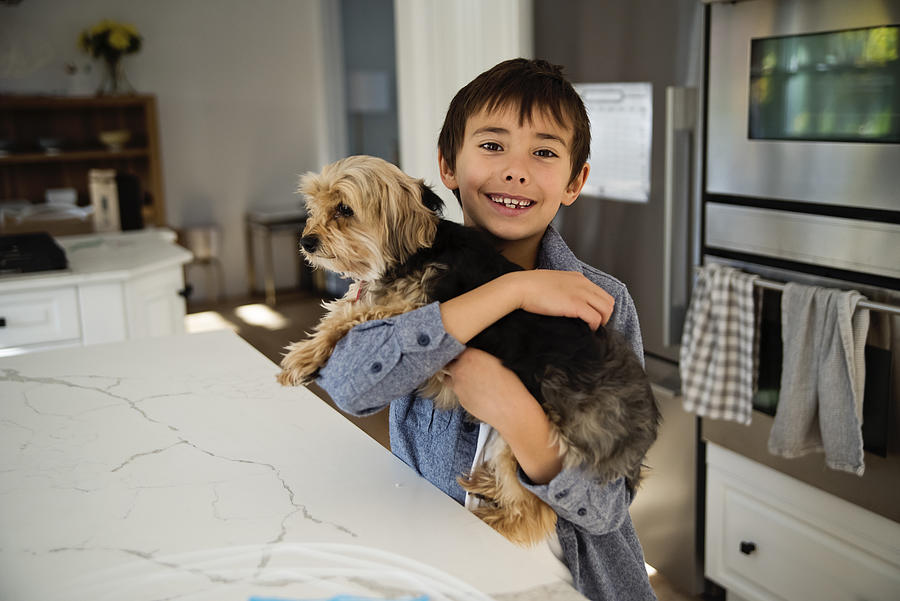 Young boy holding morki dog in kitchen. Photograph by Martinedoucet