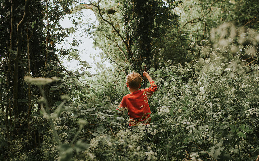 Young boy makes his way through an overgrown forest Photograph by Catherine Falls Commercial Young boy makes his way through an overgrown forest Photograph by Catherine Falls Commercial
