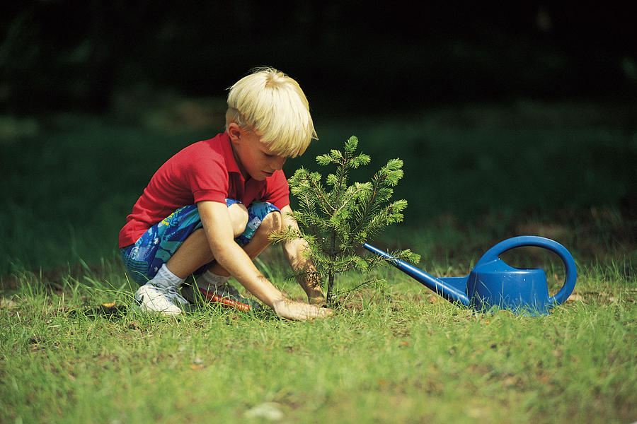 Young boy planting a seedling Photograph by Comstock