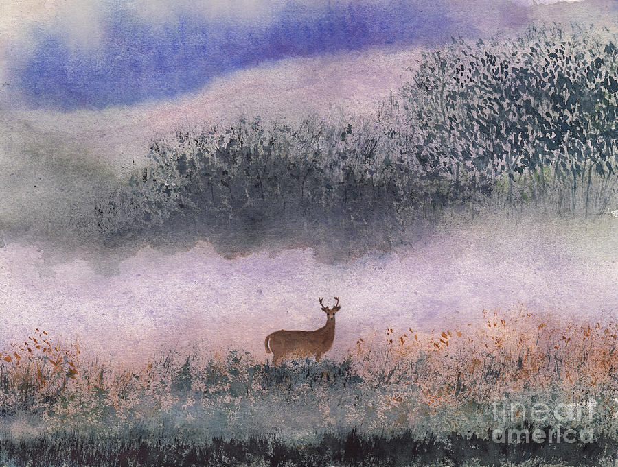 Young Buck in Misty Morning Light Painting by Conni Schaftenaar