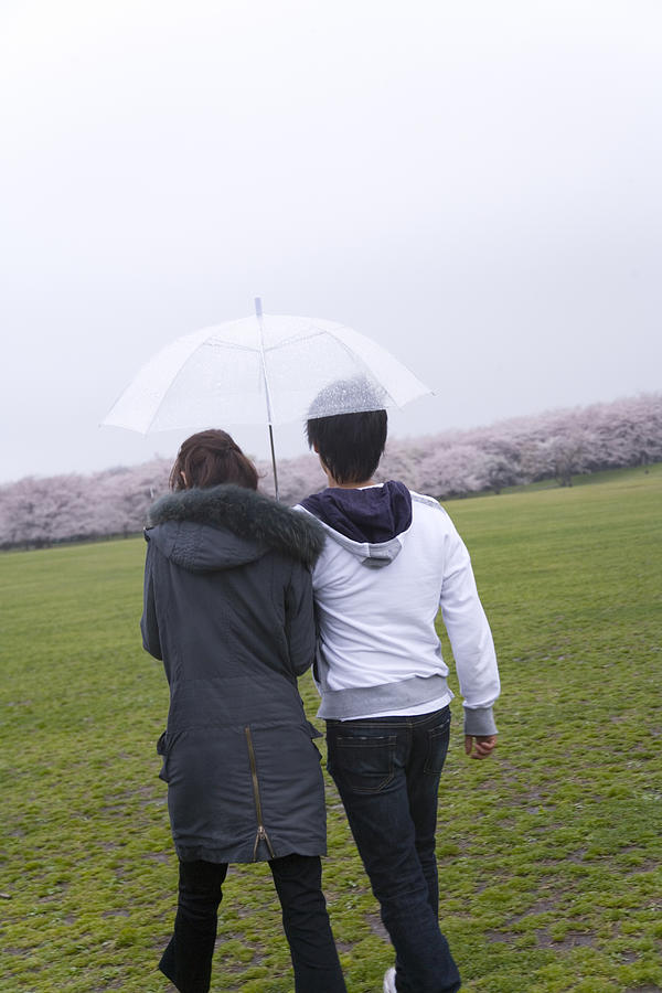 Young couple holding an umbrella and walking on lawn, rear view, Japan Photograph by Daj