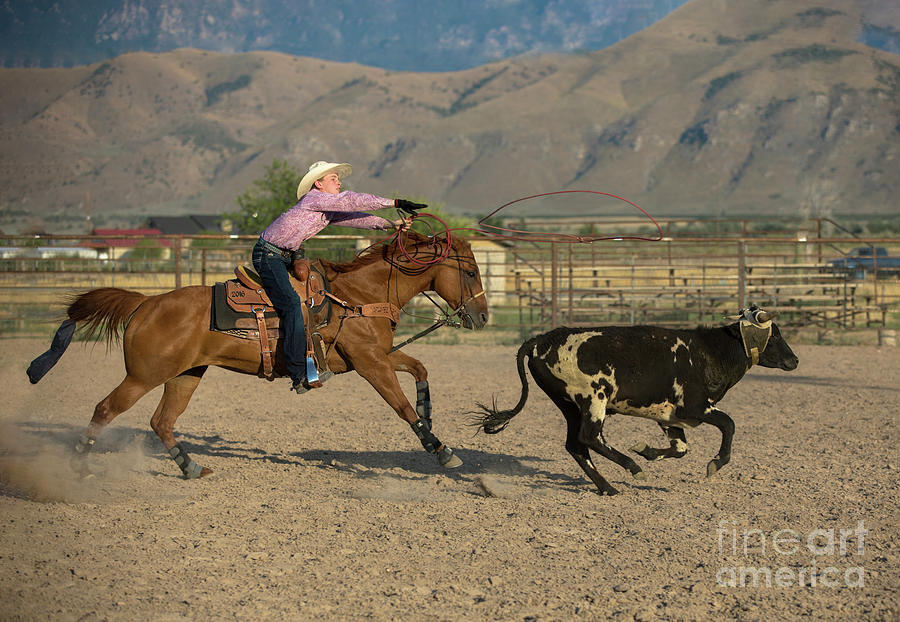 Sports Photograph - Young Cowboy Ropes a Steer by Diane Diederich