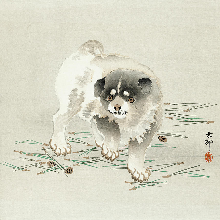 Young dog Painting by Ohara Koson