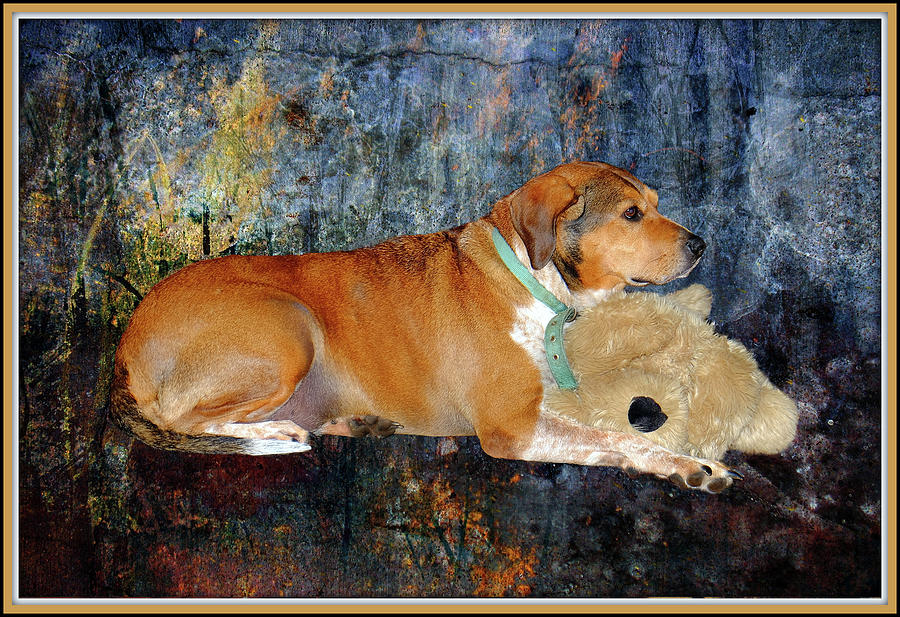 Young Dog With Stuffed Toy Mixed Media