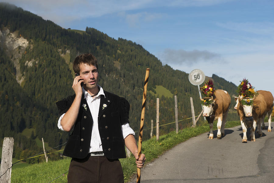 Young Farmer in Switzerland Stops Cow Procession to Answer Cellphone Photograph by Boogich