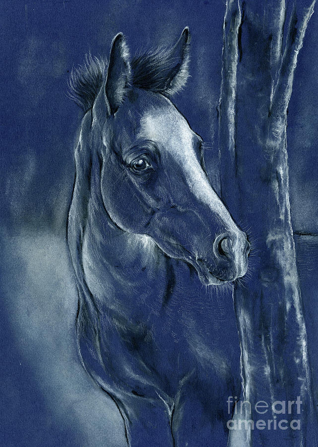 Young foal 2020 11 10 Pastel by Ang El