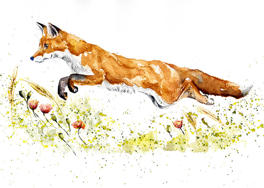 Young Fox Leaping Painting by Debra Hall