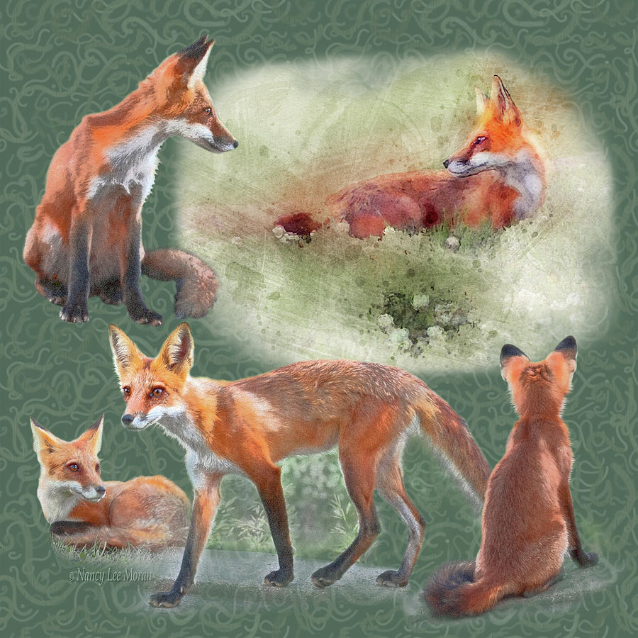 Young Foxes at the Edge of the Woodland Mixed Media by Nancy Lee Moran