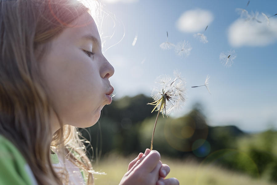 Young Girl Blowing Dandelions. Photograph by ClarkandCompany