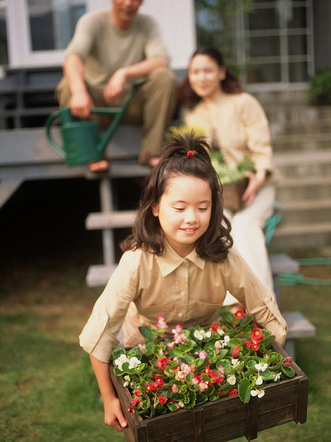 Young girl carrying a crate of plants, parents in the background Photograph by Dex Image
