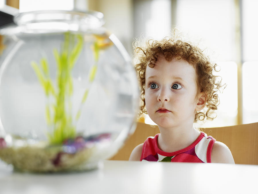 Young girl in home looking at fish in fishbowl Photograph by Thomas Barwick