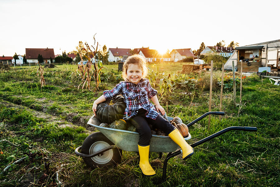 Young Girl Sitting On Wheelbarrow Full Of Pumpkins Photograph by Tom Werner