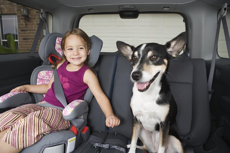 Young Girl with Her Dog in a Car Photograph by Steve Hix