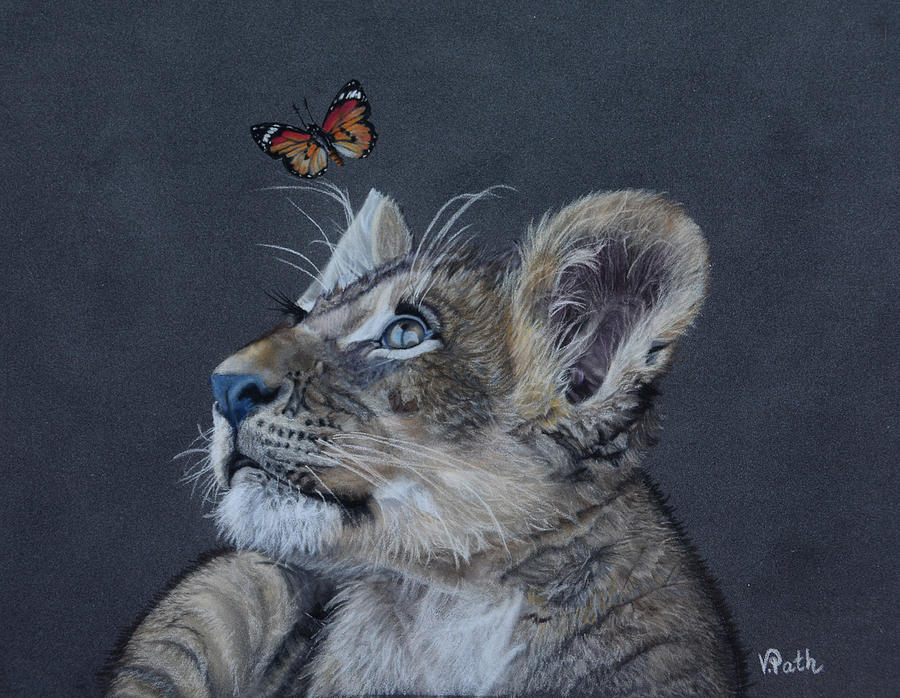 Young Lion Cub N Butterfly Pastel By Vicky Path