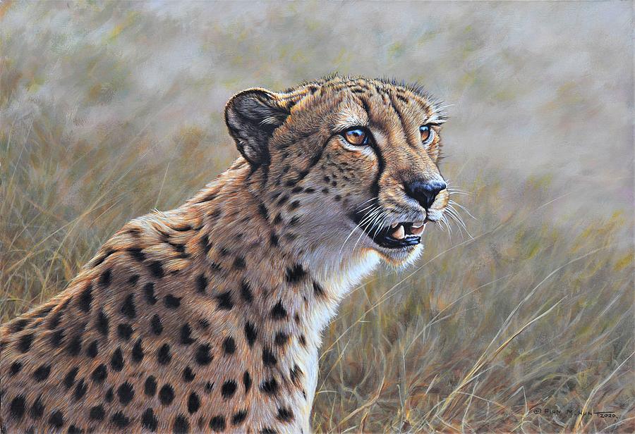 Young Male Cheetah Painting by Alan M Hunt