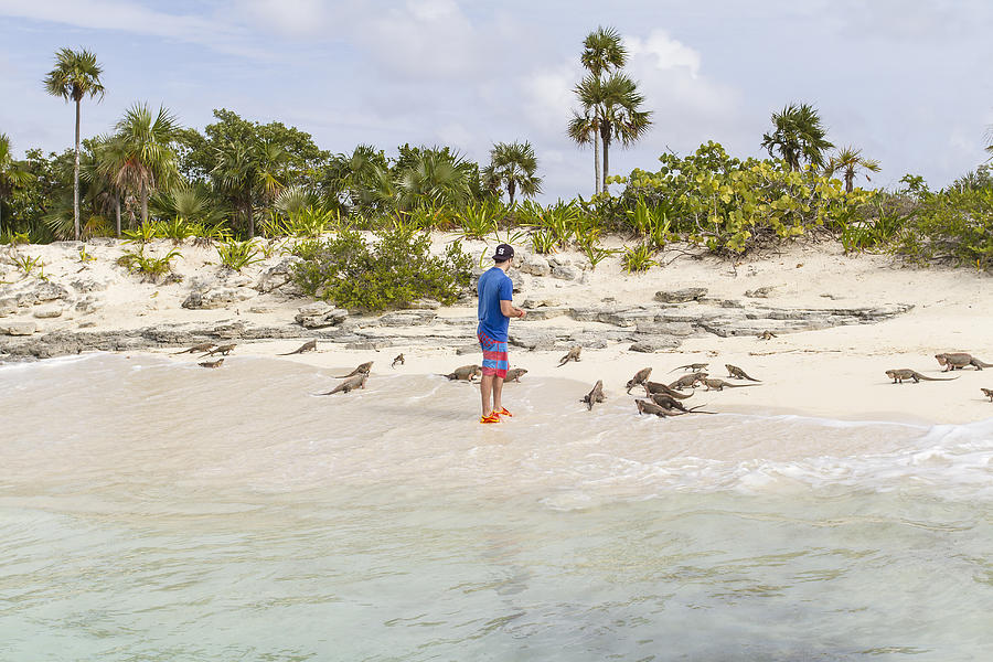 Young man feeds group of iguanas - Bahamas Photograph by PJPhoto69