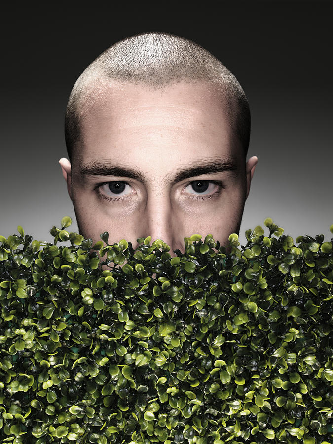 Young man half covered by boxwood hedge, portrait, high section, studio shot Photograph by Maurizio Cigognetti