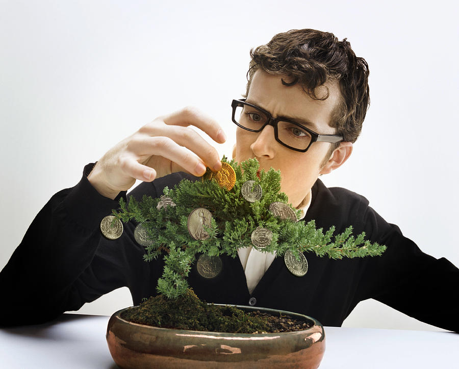 Young man tending bonsai tree with coins growing on branches Photograph by Rupert King