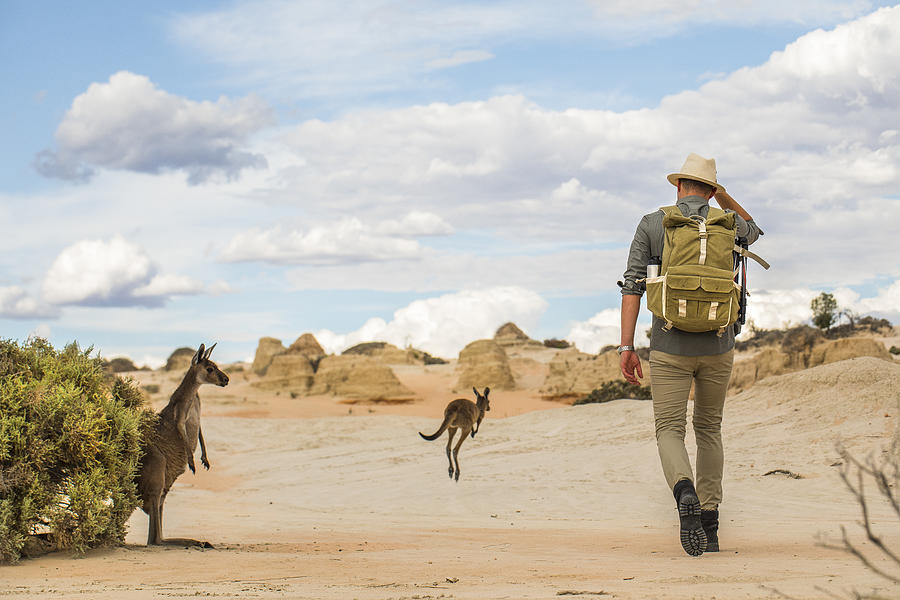 Young man walking in arid desert landscape with photography backpack on an adventure in outback Australia Photograph by Philip Thurston