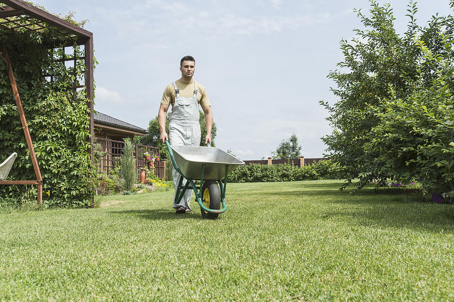 Young man walking with wheelbarrow in backyard Photograph by Vladimir Godnik