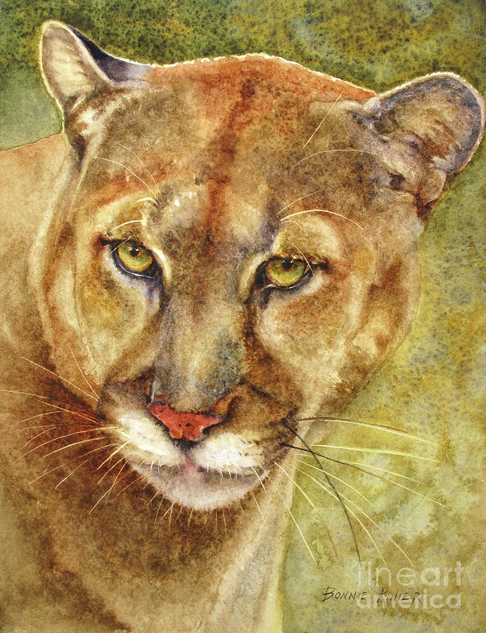 Young Mountain Lion Painting by Bonnie Rinier