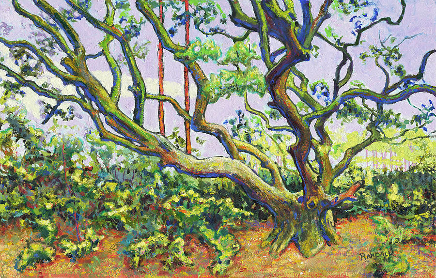 Young Oak Painting by David Randall