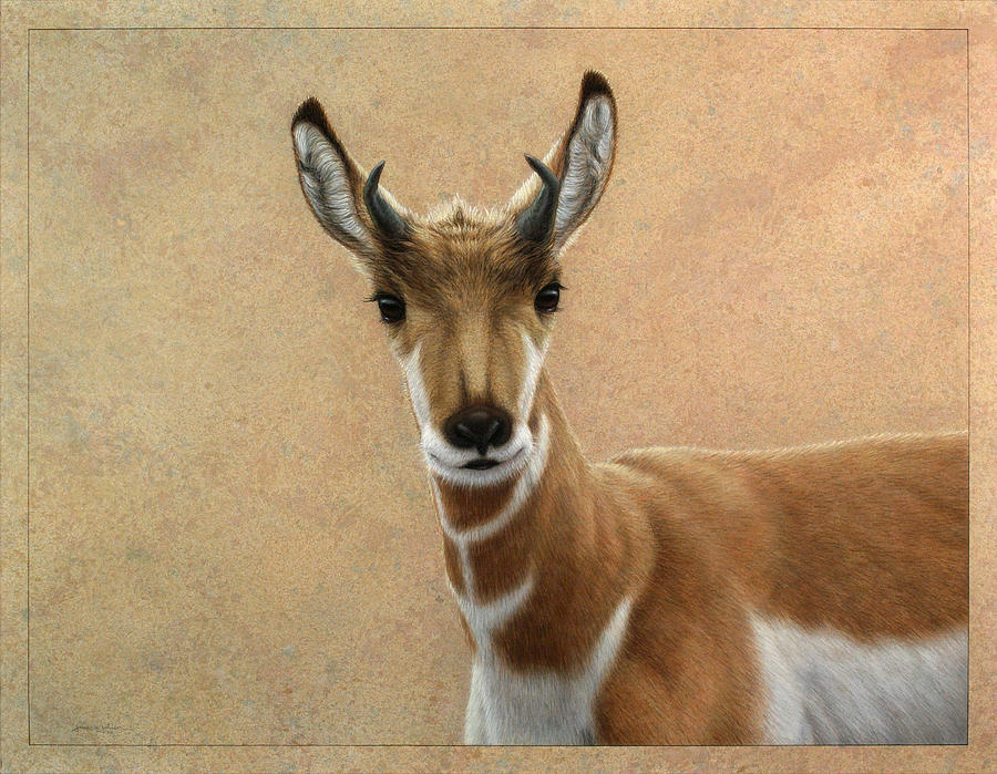 Sheep Painting - Young Pronghorn by James W Johnson