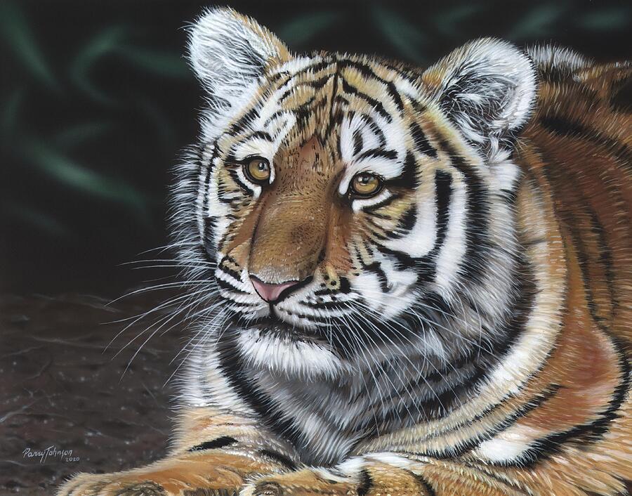 Young Tiger Painting by Parry Johnson - Fine Art America