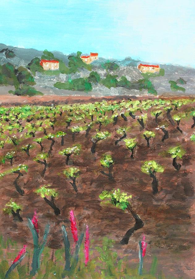 Young vines Malta one morning Painting by Nigel Radcliffe