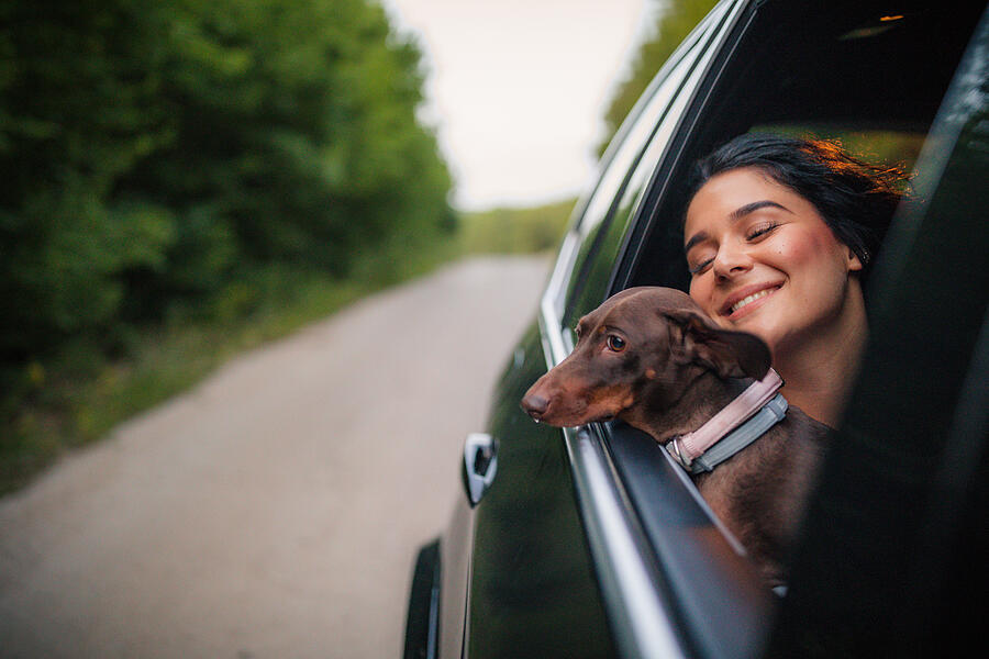 Young woman and dog riding in a car Photograph by South_agency