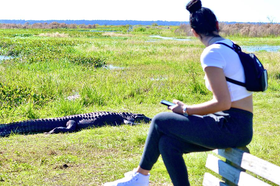 Young Woman and the American Alligator Photograph by Warren Thompson