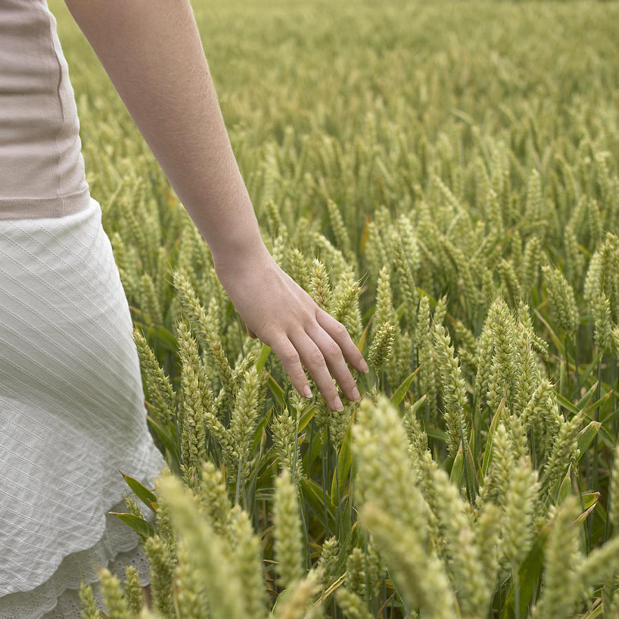 Young woman brushing hand through wheat field. Photograph by Dougal Waters