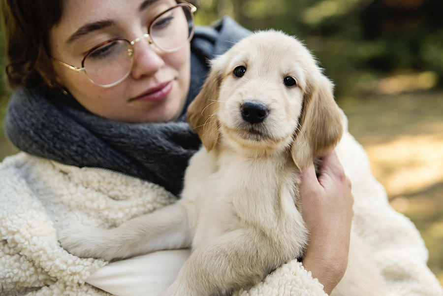 Young woman holding purebred yellow flat-coated retriever puppy. Photograph by Martinedoucet